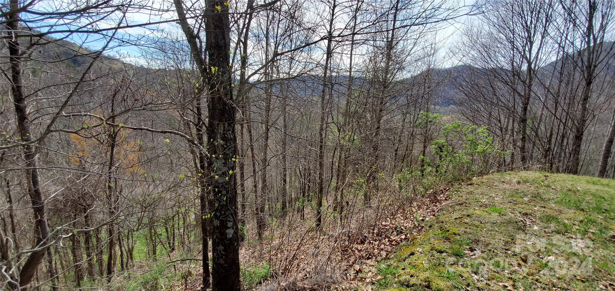 9999 Sunset Falls Drive Clyde, NC 28721 - Photo 4 of 5