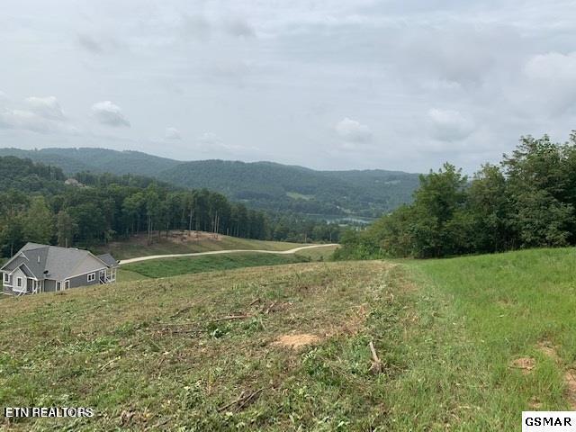Mountain Way Sharps Chapel, TN 37866 - Photo 1 of 8 7