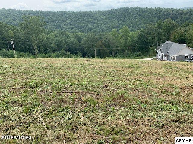 Mountain Way Sharps Chapel, TN 37866 - Photo 2 of 8 9