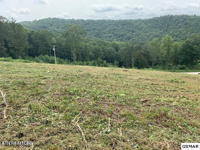 Mountain Way Sharps Chapel, TN 37866 - Photo 3 of 8 8