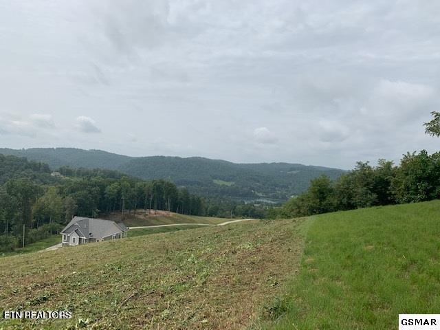 Mountain Way Sharps Chapel, TN 37866 - Photo 4 of 8 6