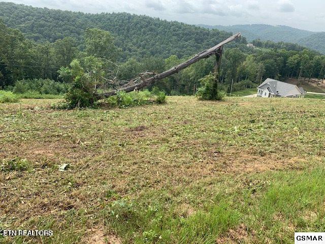Mountain Way Sharps Chapel, TN 37866 - Photo 5 of 8 5