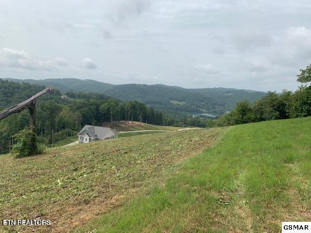 Mountain Way Sharps Chapel, TN 37866 - Photo 6 of 8 4