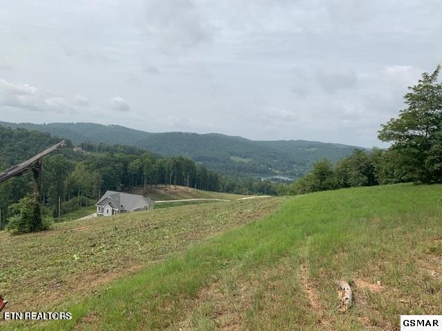 Mountain Way Sharps Chapel, TN 37866 - Photo 8 of 8 2