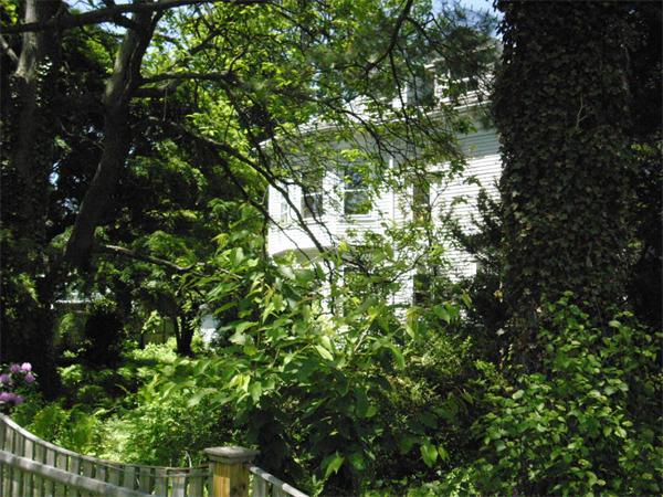 20 Oakley Road Belmont, MA 02478 - Photo 11 of 13 Gallery Image 11
