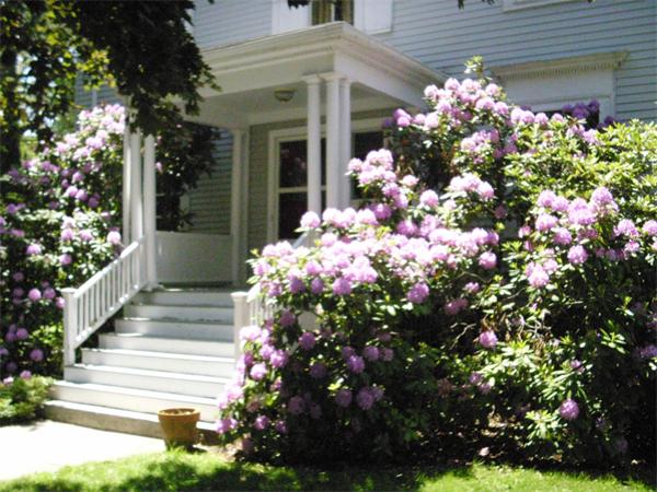 20 Oakley Road Belmont, MA 02478 - Photo 2 of 13 Gallery Image 2