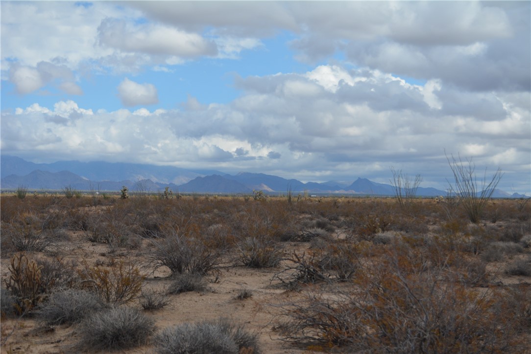 207-35-005 South Arlington Road Yucca, AZ 86438 - Photo 45 of 92