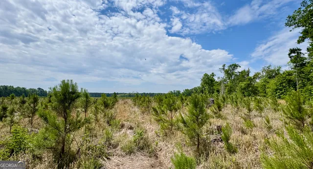 a view of a yard in a field