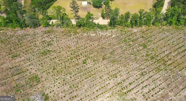 a view of a yard with trees