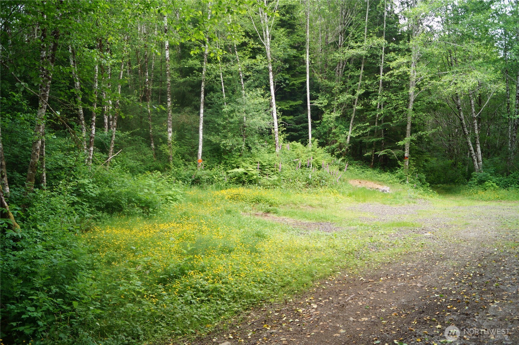 -off Of Panhandle Road Hoquiam, WA 98550 - Photo 1 of 13 Gallery Image 1