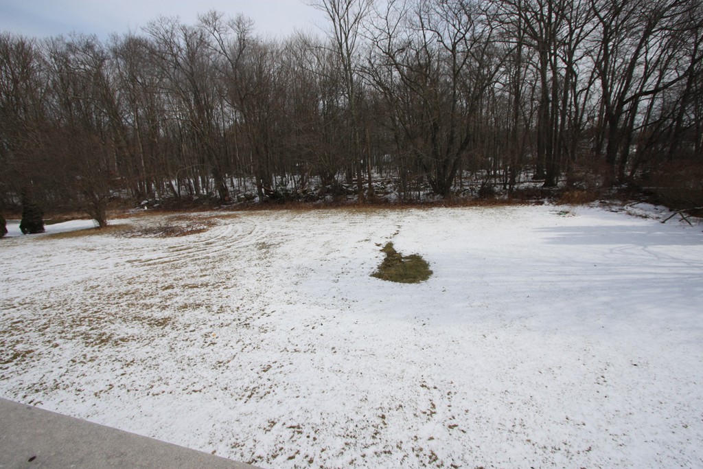 14 Cedar Hill Road Sutton, MA 01590 - Photo 16 of 16 a view of outdoor space with trees