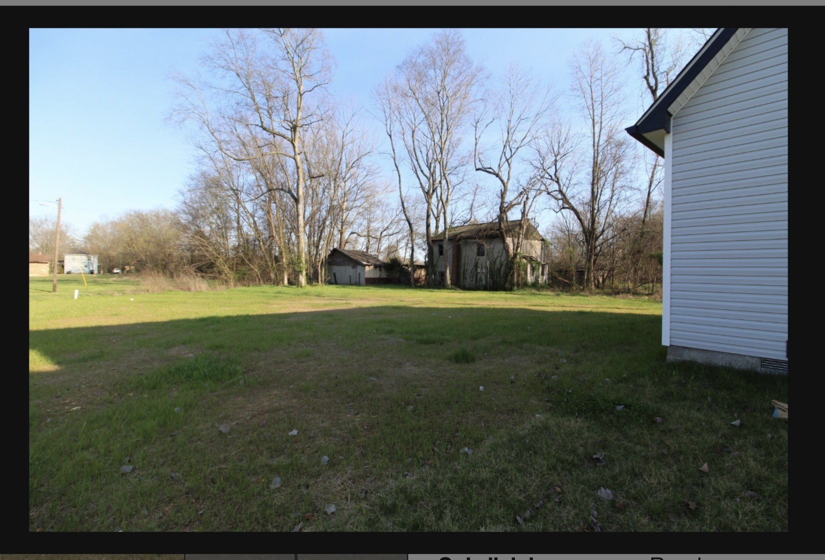 574 Russell Street Guthrie, KY 42234 - Photo 4 of 15 a view of yard with trees