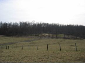 119 Good Road, Unit 29 30 Fall Branch, TN 37656 - Photo 3 of 6 Photo 3