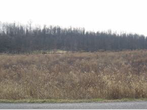 119 Good Road, Unit 29 30 Fall Branch, TN 37656 - Photo 5 of 6 Photo 5