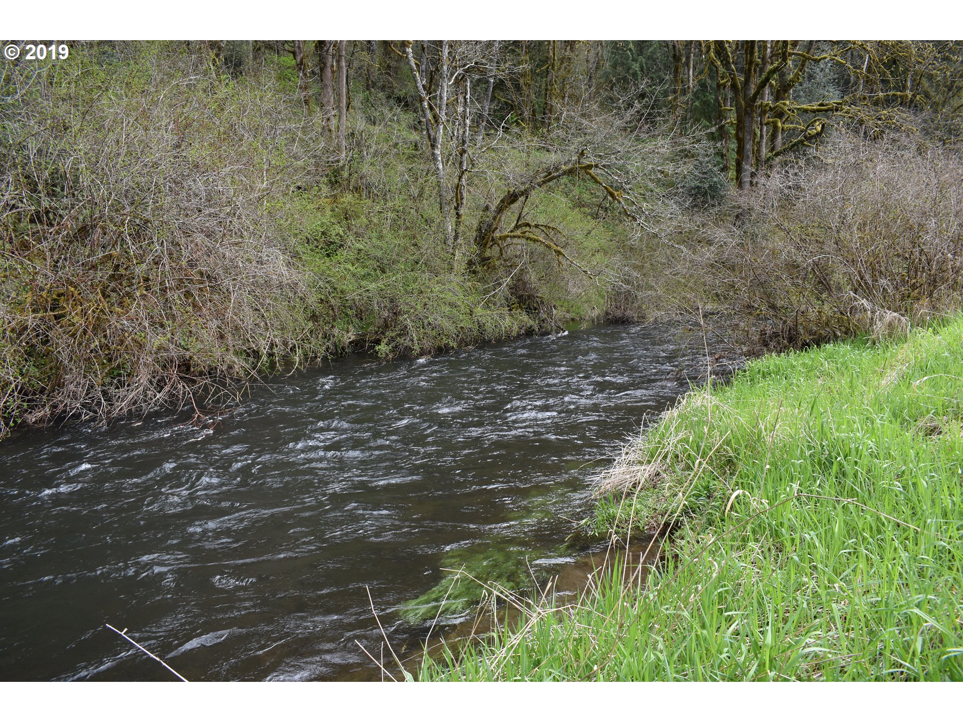 0 Northeast Proctor Road Woodland, WA 98674 - Photo 2 of 18 Gallery Image 2