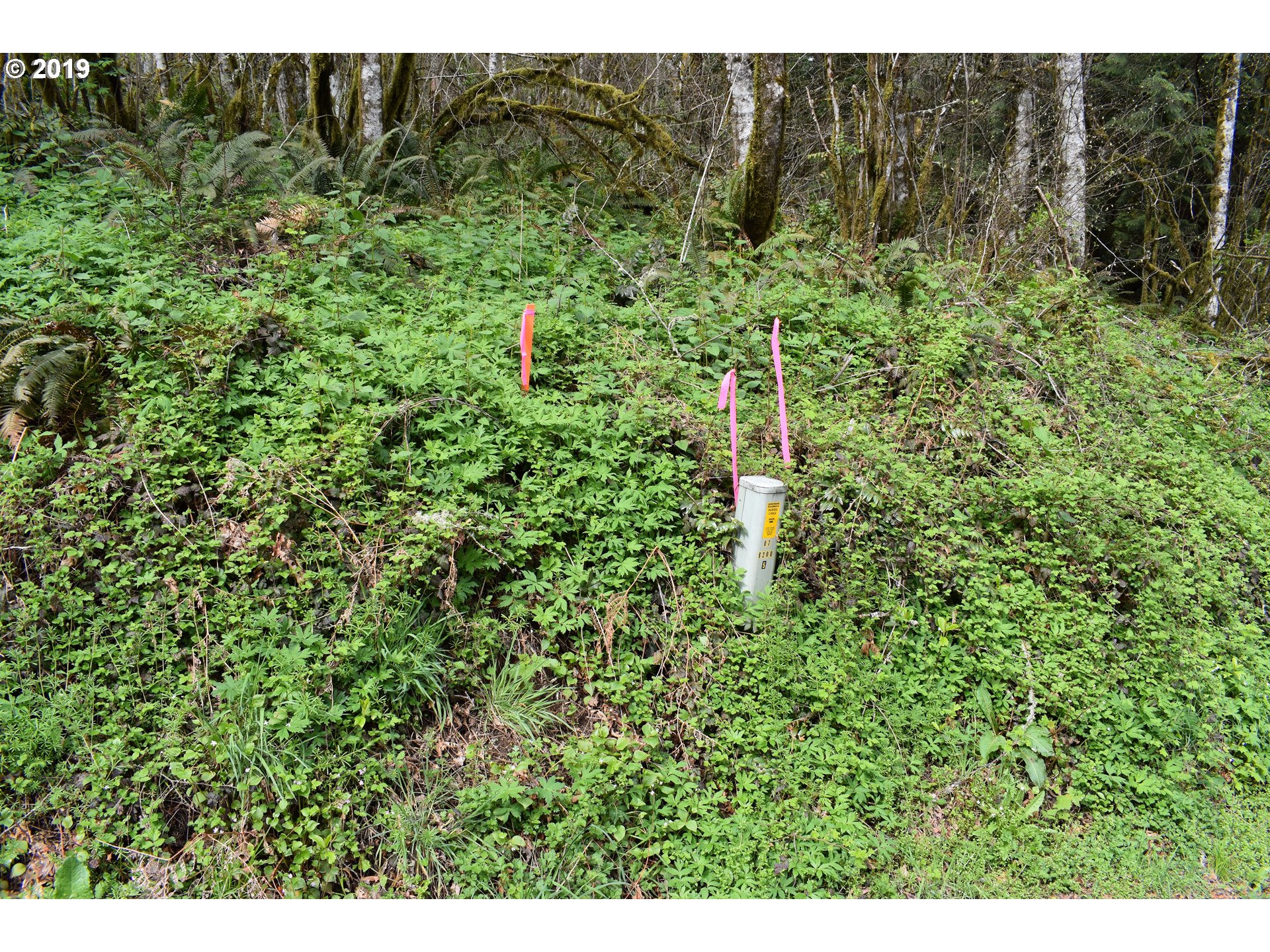 0 Northeast Proctor Road Woodland, WA 98674 - Photo 15 of 18 Gallery Image 15