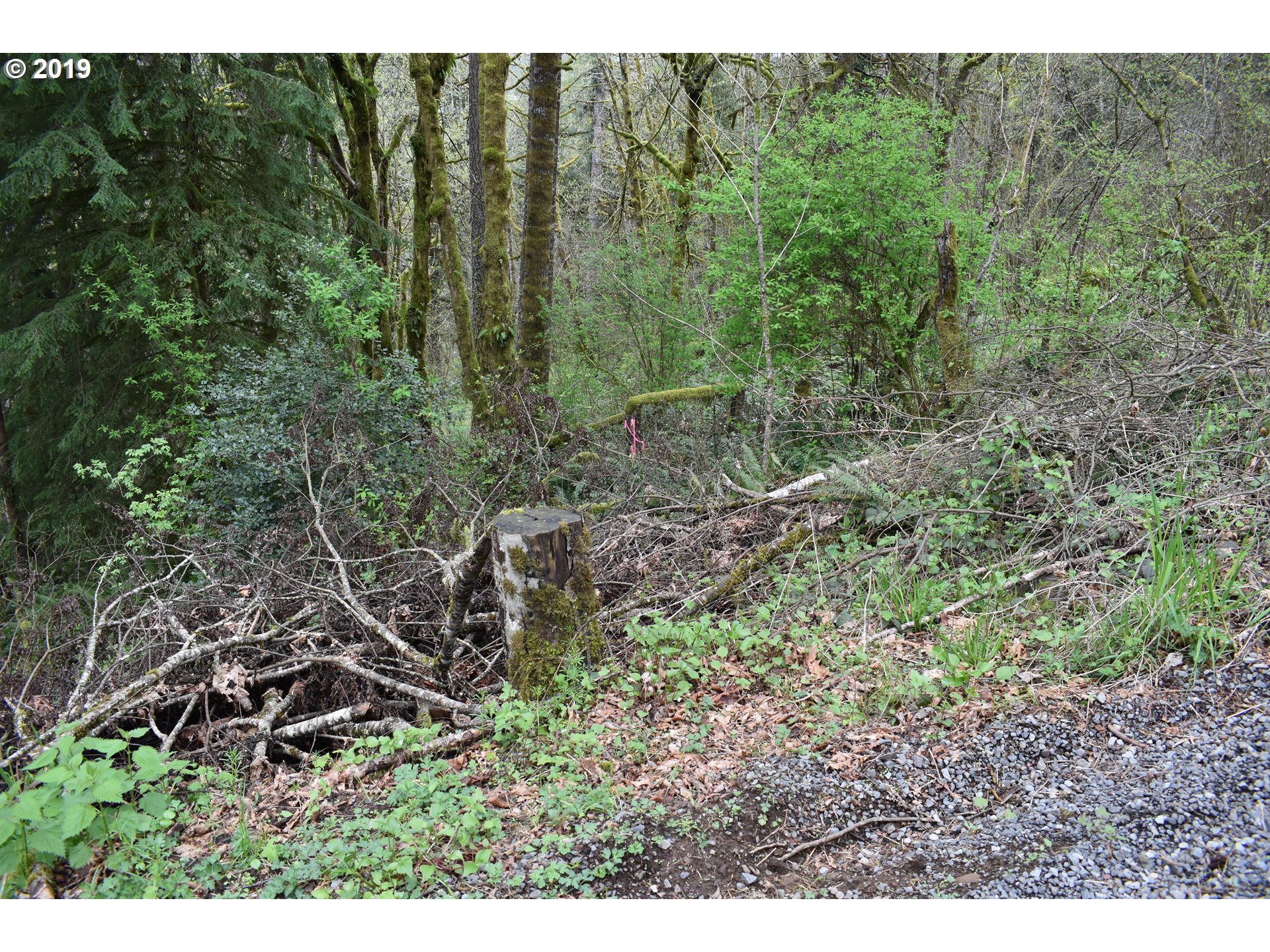0 Northeast Proctor Road Woodland, WA 98674 - Photo 16 of 18 Gallery Image 16