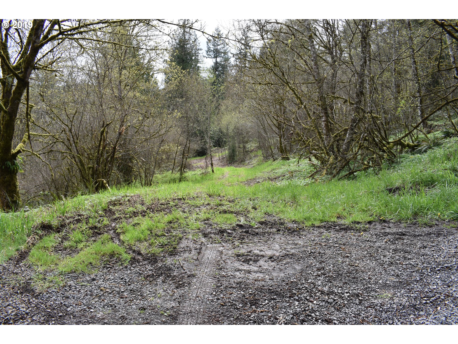 0 Northeast Proctor Road Woodland, WA 98674 - Photo 4 of 18 Gallery Image 4