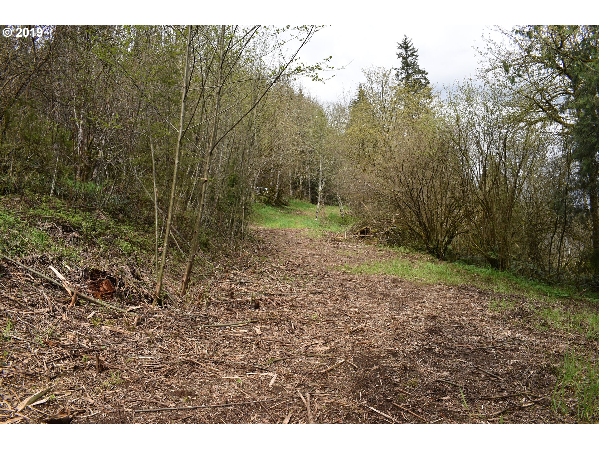 0 Northeast Proctor Road Woodland, WA 98674 - Photo 5 of 18 Gallery Image 5