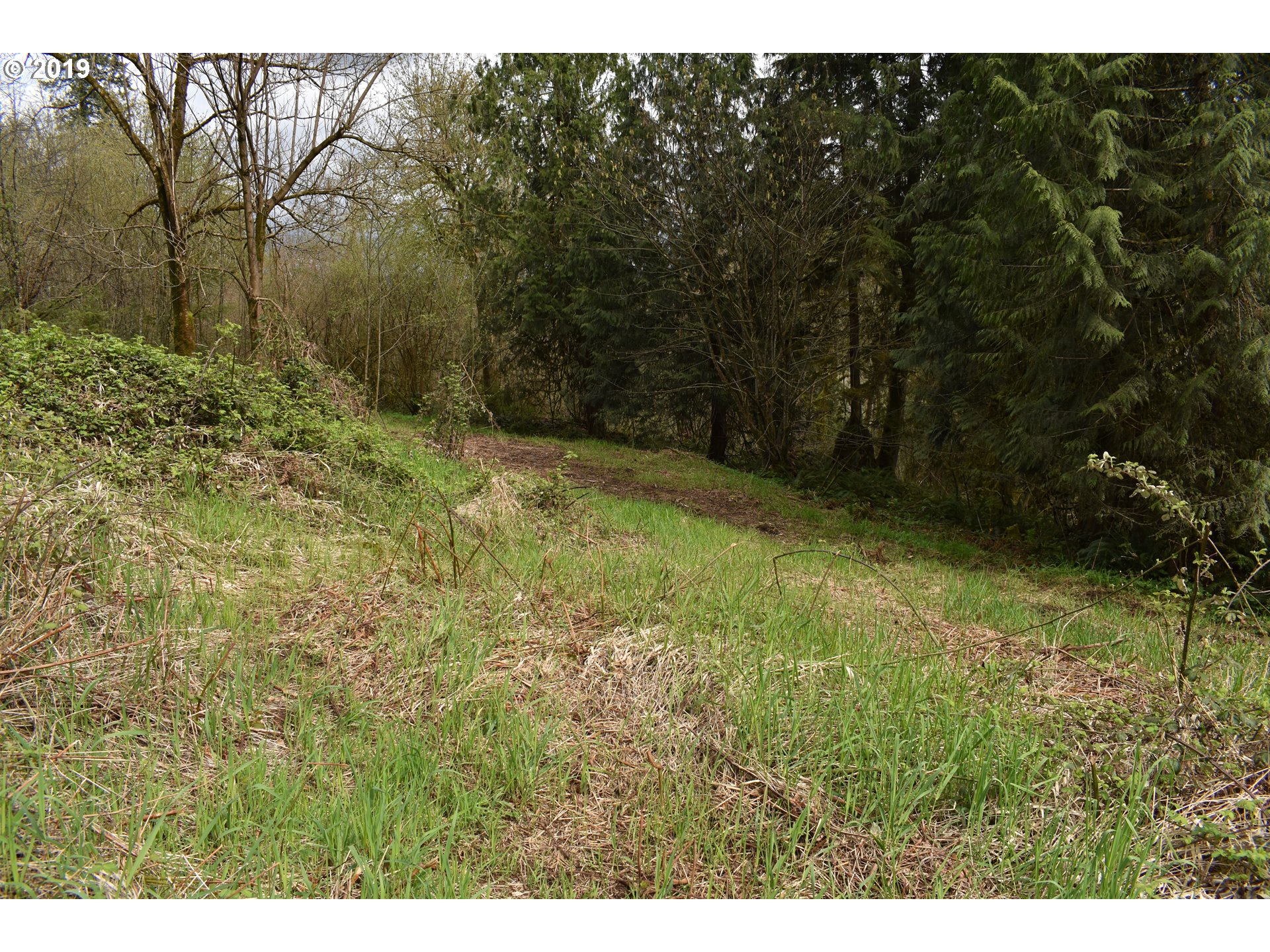 0 Northeast Proctor Road Woodland, WA 98674 - Photo 10 of 18 Gallery Image 10
