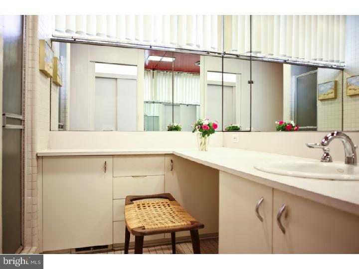 301 Hughes Road King of Prussia, PA 19406 - Photo 16 of 25 Bathroom