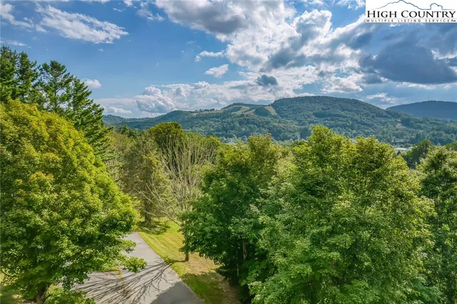a view of a lake in between two of trees