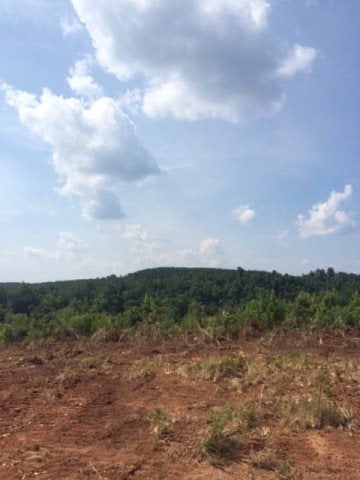 0 Hayes Mill Road Dadeville, AL 36853 - Photo 4 of 14 Gallery Image 4