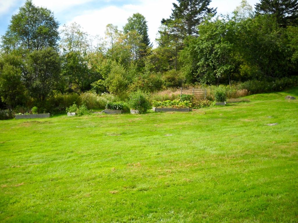 8 Ed Brown Road Pittsburg, NH 03592 - Photo 23 of 36 Gallery Image 23