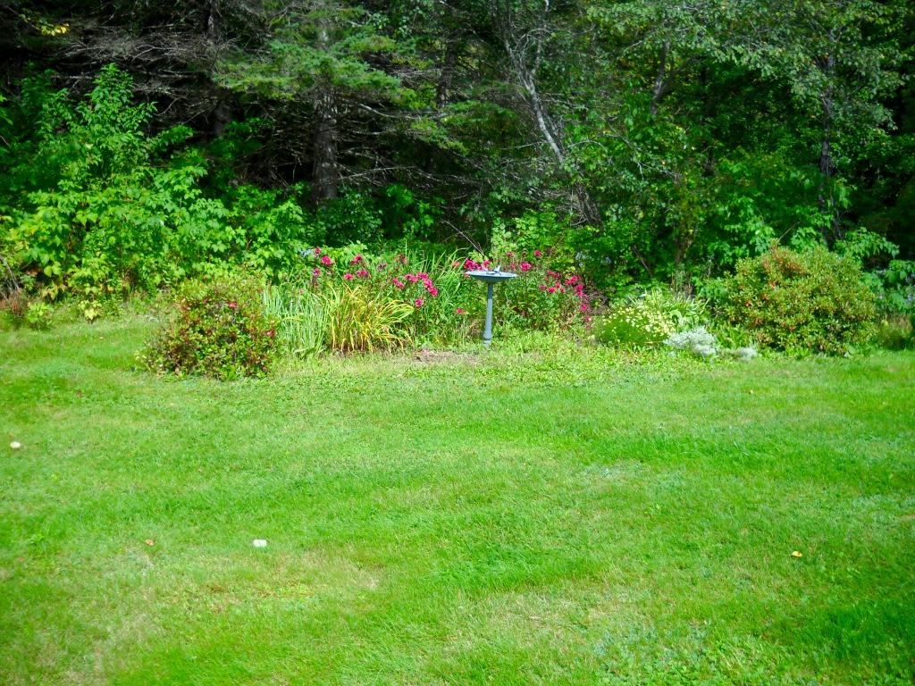 8 Ed Brown Road Pittsburg, NH 03592 - Photo 26 of 36 Gallery Image 26