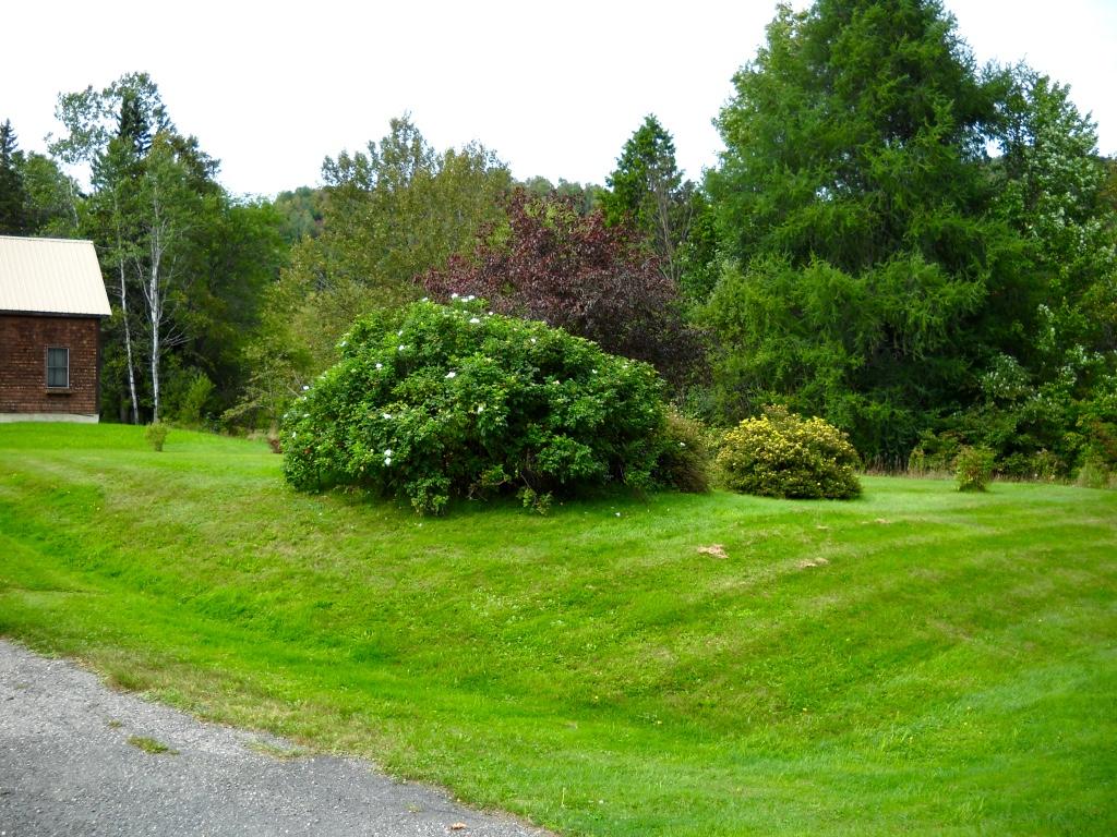 8 Ed Brown Road Pittsburg, NH 03592 - Photo 28 of 36 Gallery Image 28