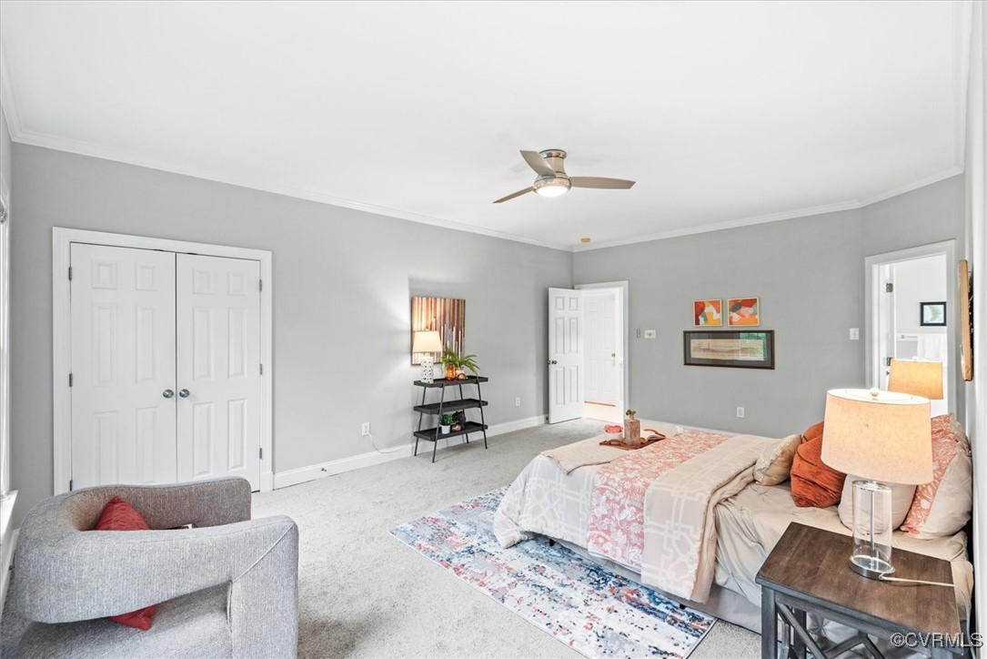 14101 Mortemer Road Midlothian, VA 23113 - Photo 36 of 50 Carpeted bedroom featuring a closet, crown molding