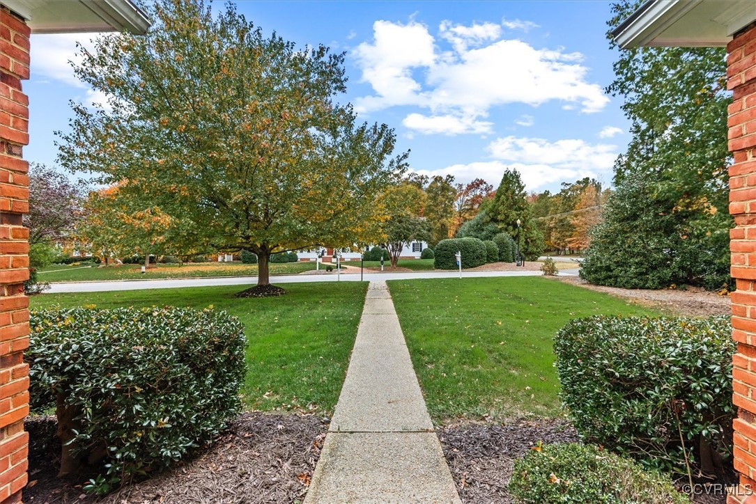 14101 Mortemer Road Midlothian, VA 23113 - Photo 8 of 50 View of yard