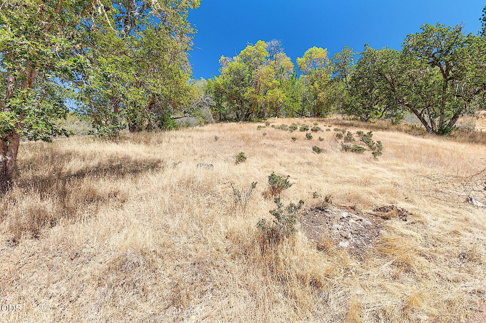 705 Murphy Gulch Road Rogue River, OR 97537 - Photo 47 of 77