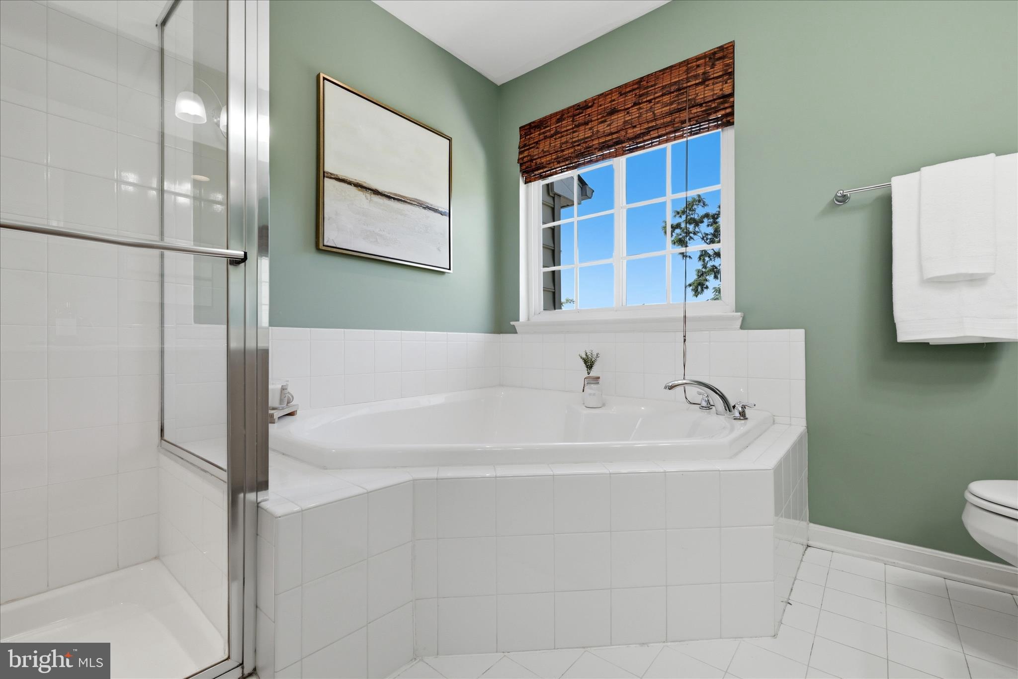 31 Riparian Lane Ranson, WV 25438 - Photo 32 of 56 Primary Bathroom Soaking Tub
