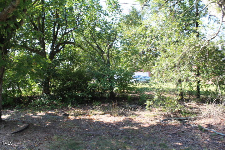 Left of driveway