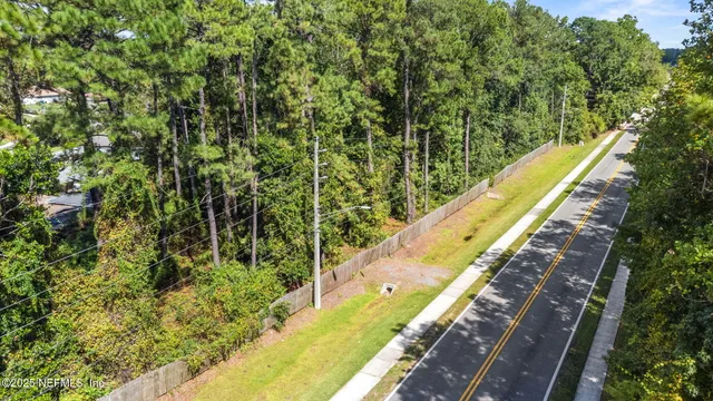 a view of a yard with two plants