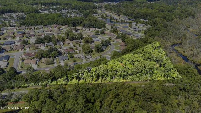 a view of a forest with a yard and mountain view