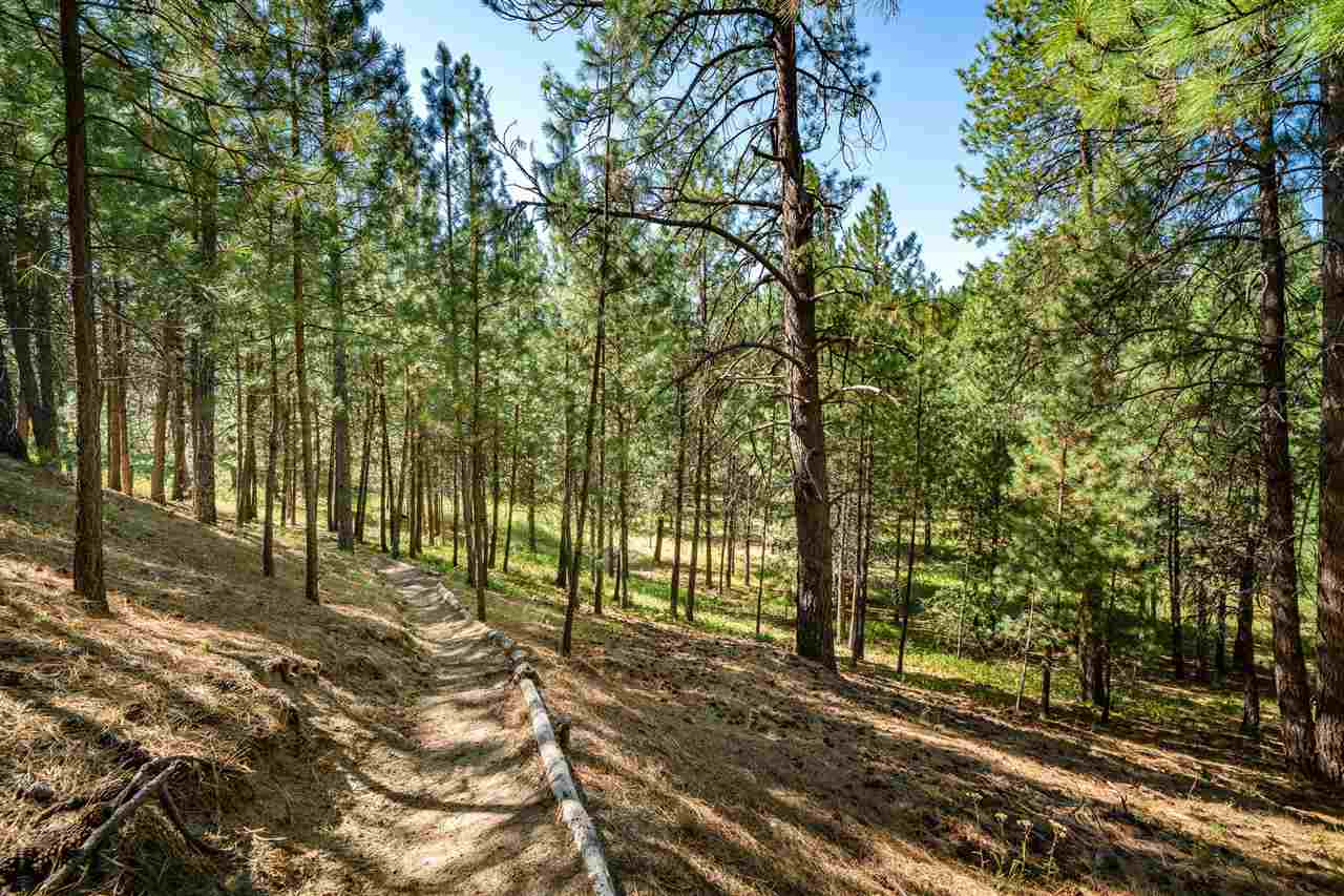 25611 North Perry Road Chattaroy, WA 99003 - Photo 17 of 20