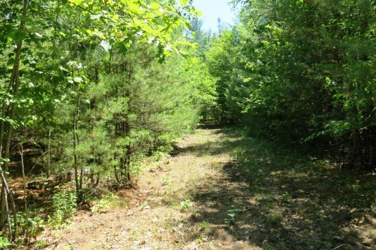 Lot 2 Nugent Road Jay, NY 12941 - Photo 6 of 13 Gallery Image 6
