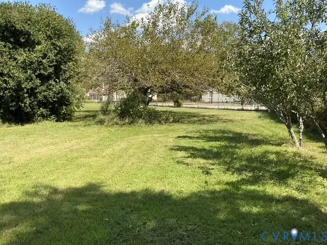 a view of yard with green space and trees