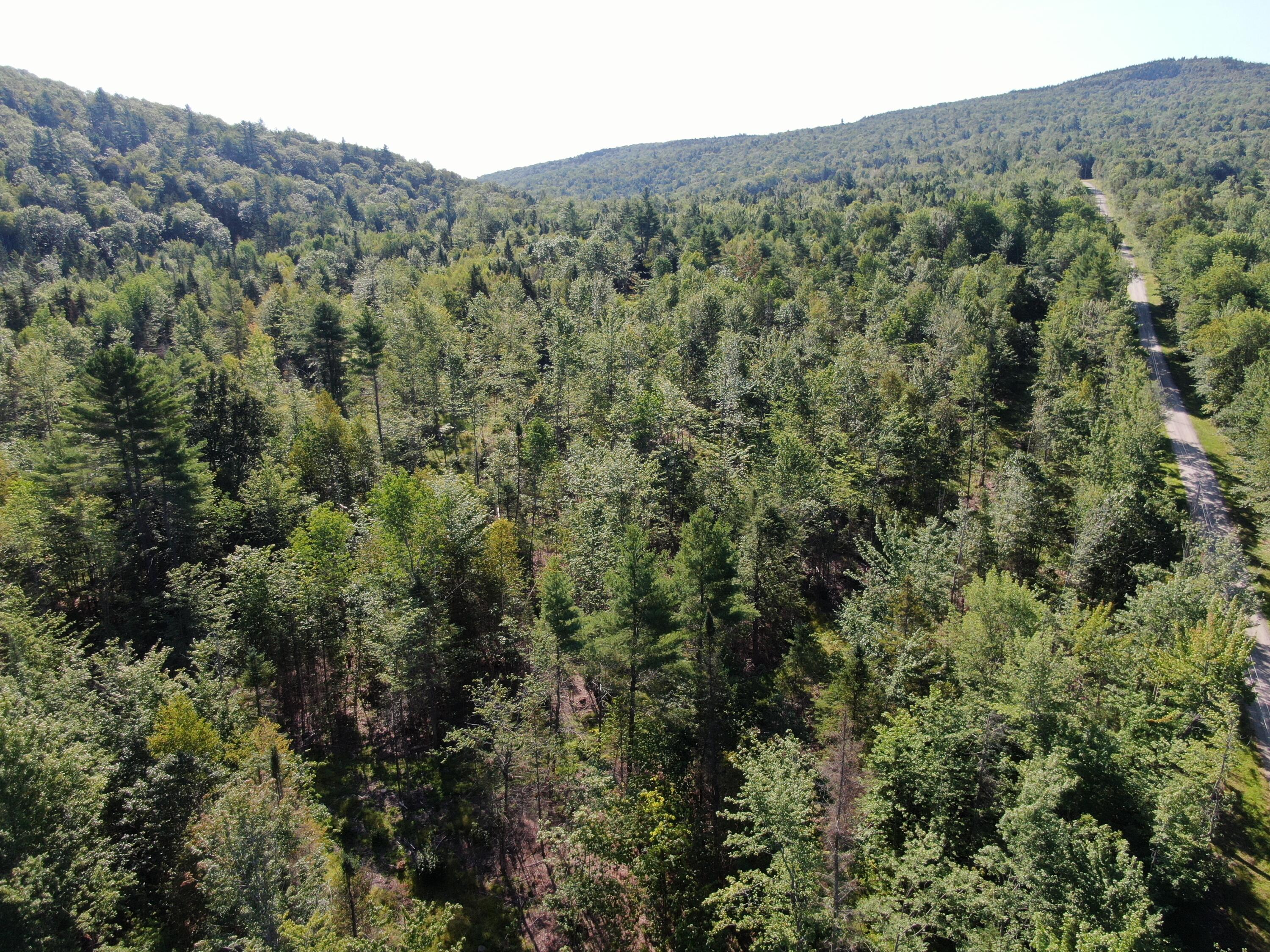 Lot 1 Grand View Road Bethel, ME 04217 - Photo 9 of 18 DJI_0744
