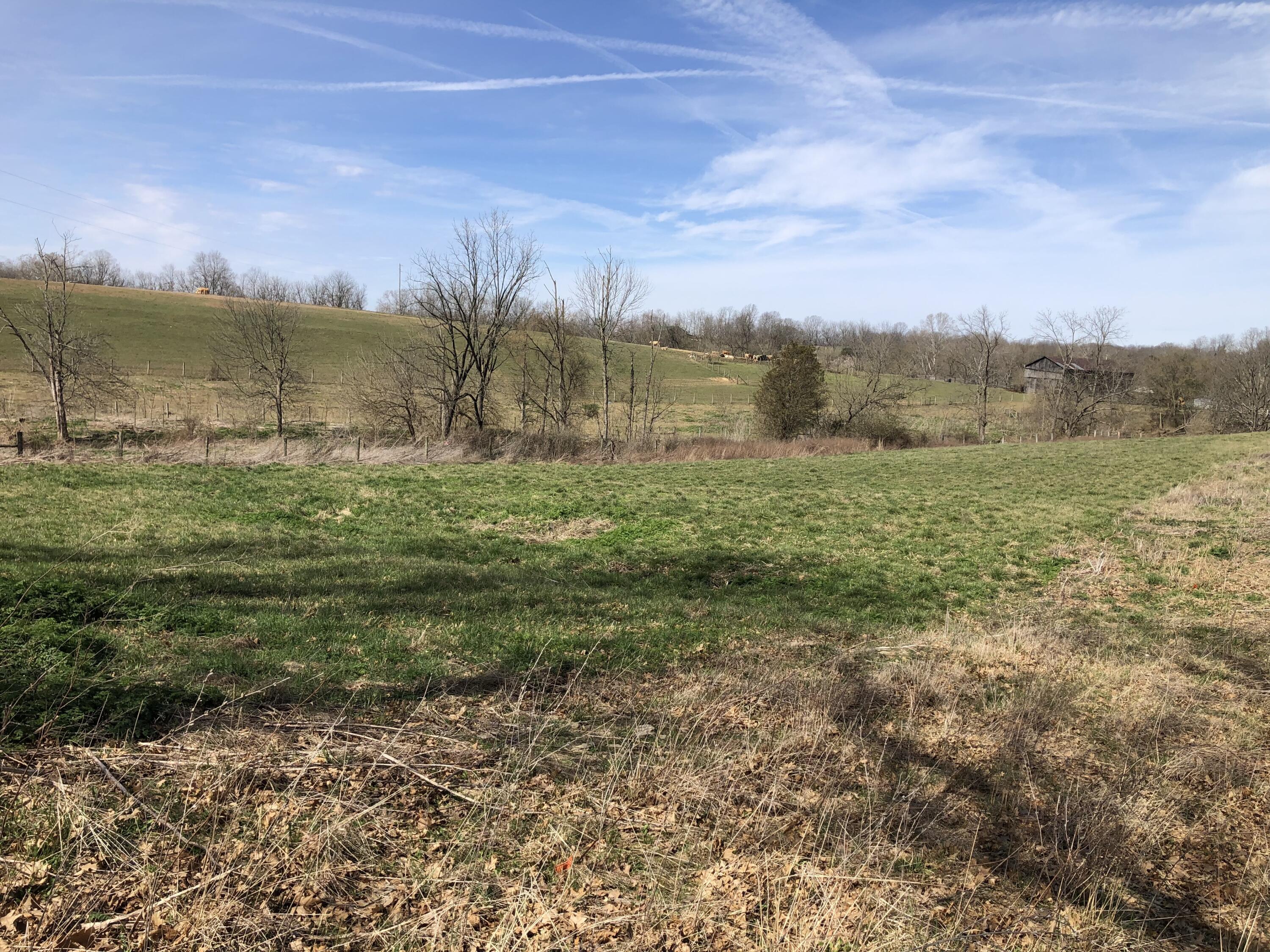 12 Mt Vernon Road Cynthiana, KY 41031 - Photo 1 of 3 IMG_3414