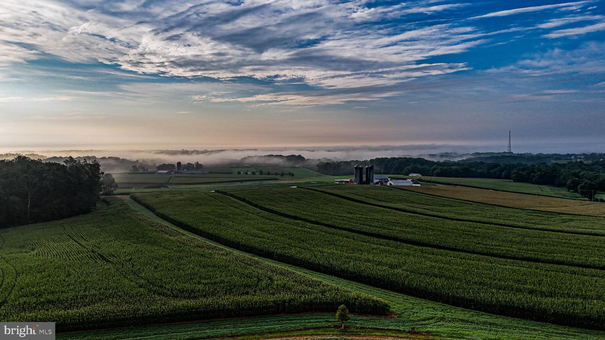 a view of a road with a yard
