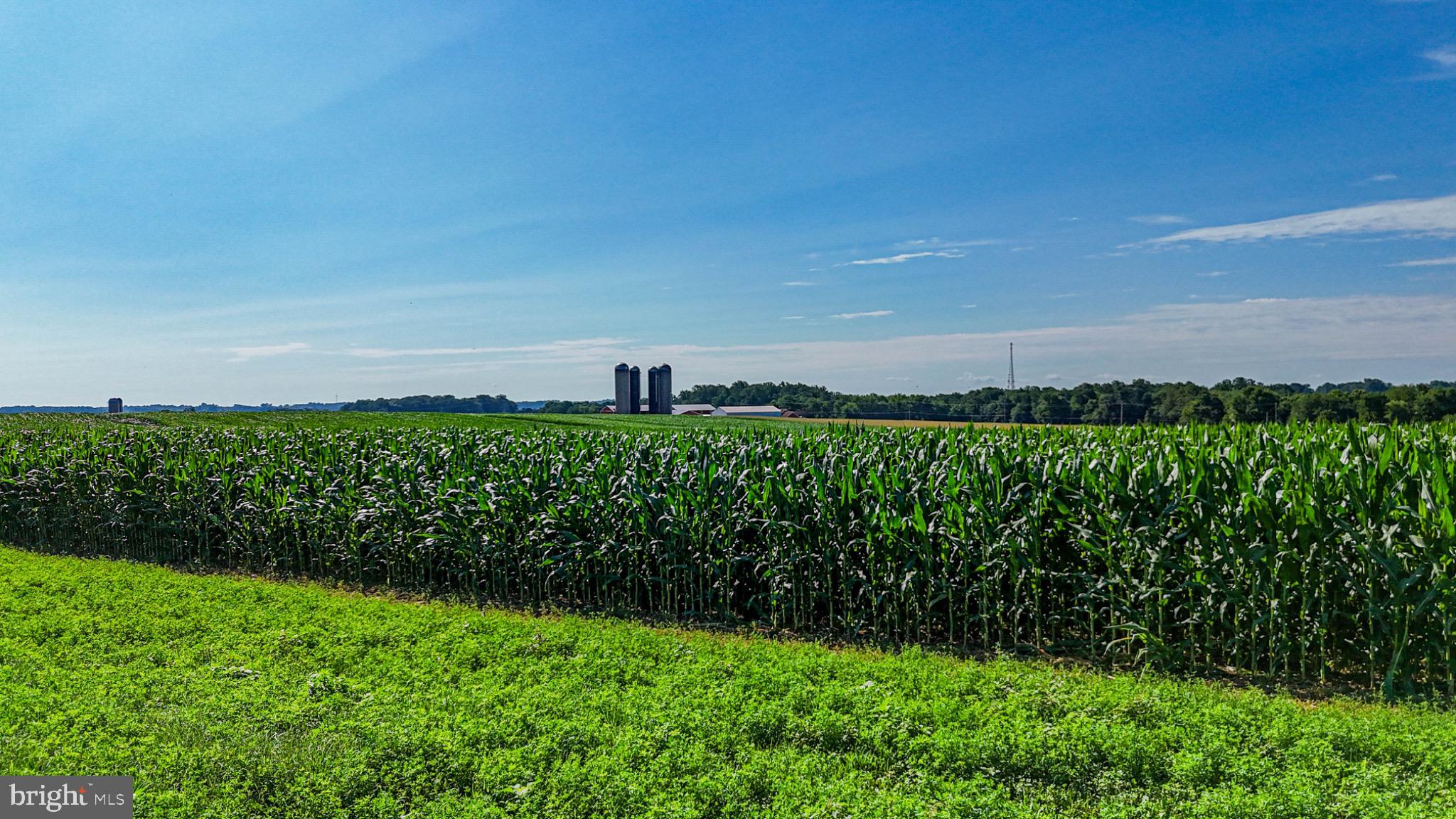 225 Pusey Mill Road Cochranville, PA 19330 - Photo 11 of 21 a view of a garden