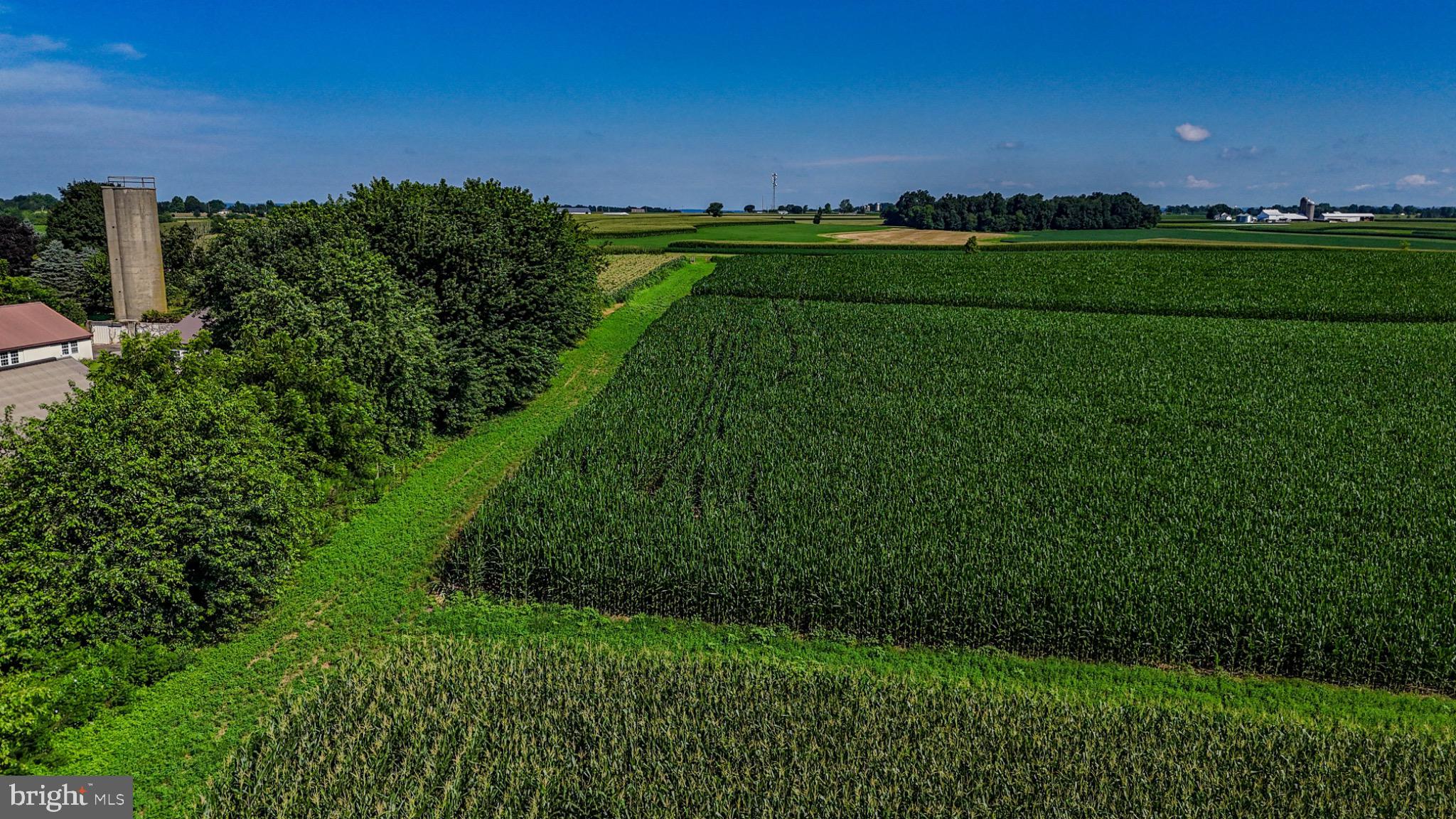 225 Pusey Mill Road Cochranville, PA 19330 - Photo 12 of 21 a view of a green field with lots of green space