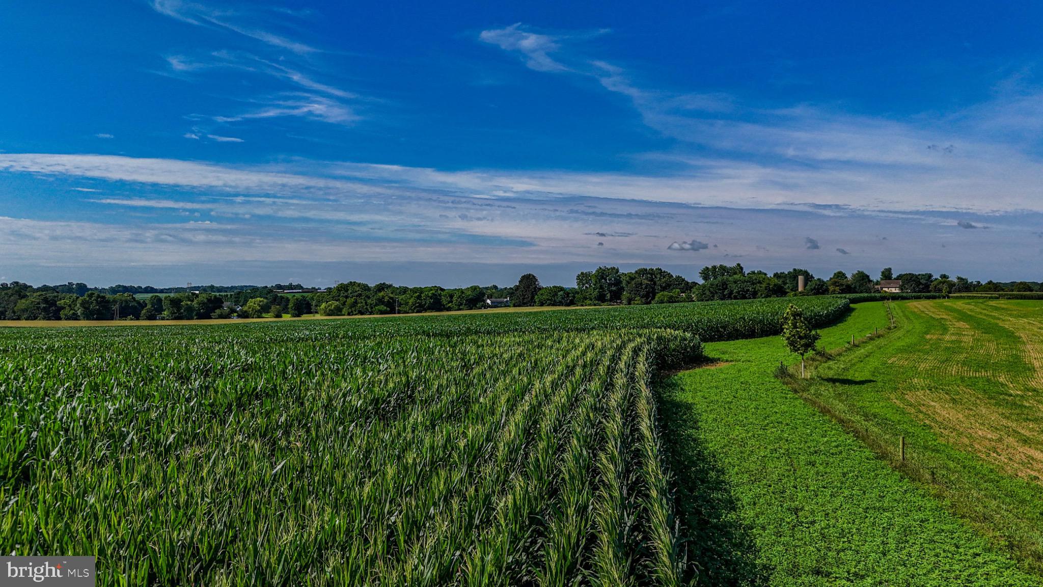 225 Pusey Mill Road Cochranville, PA 19330 - Photo 13 of 21 a view of building with outdoor space