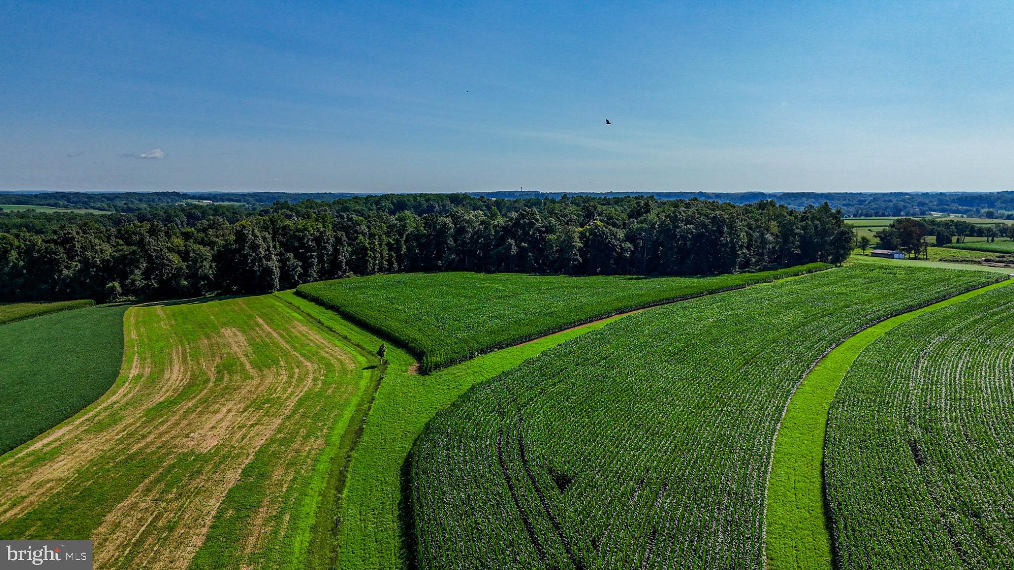 225 Pusey Mill Road Cochranville, PA 19330 - Photo 15 of 21 a view of a golf course with a yard