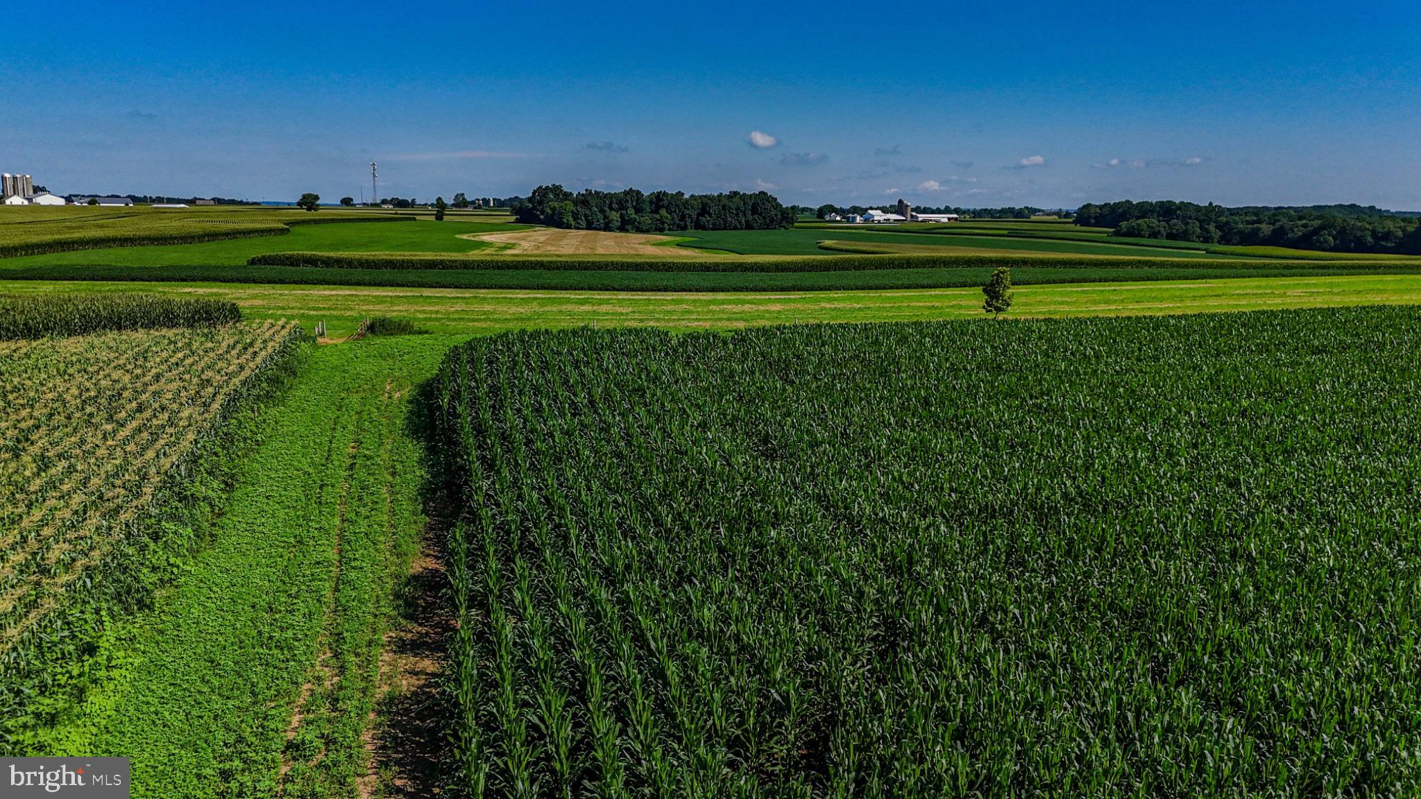 225 Pusey Mill Road Cochranville, PA 19330 - Photo 16 of 21 a view of a green field with lots of green space
