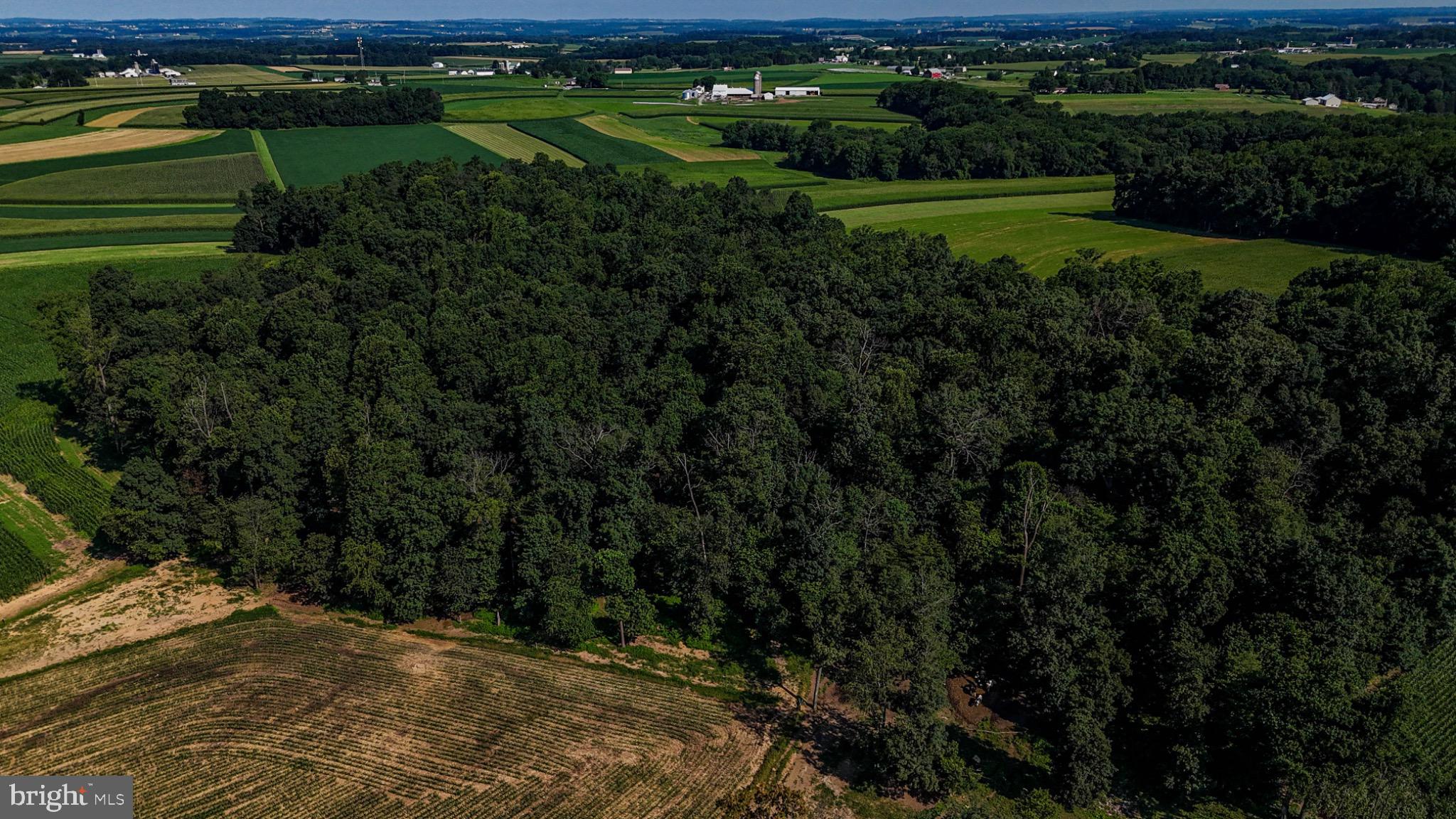 225 Pusey Mill Road Cochranville, PA 19330 - Photo 17 of 21 a view of a yard with a house