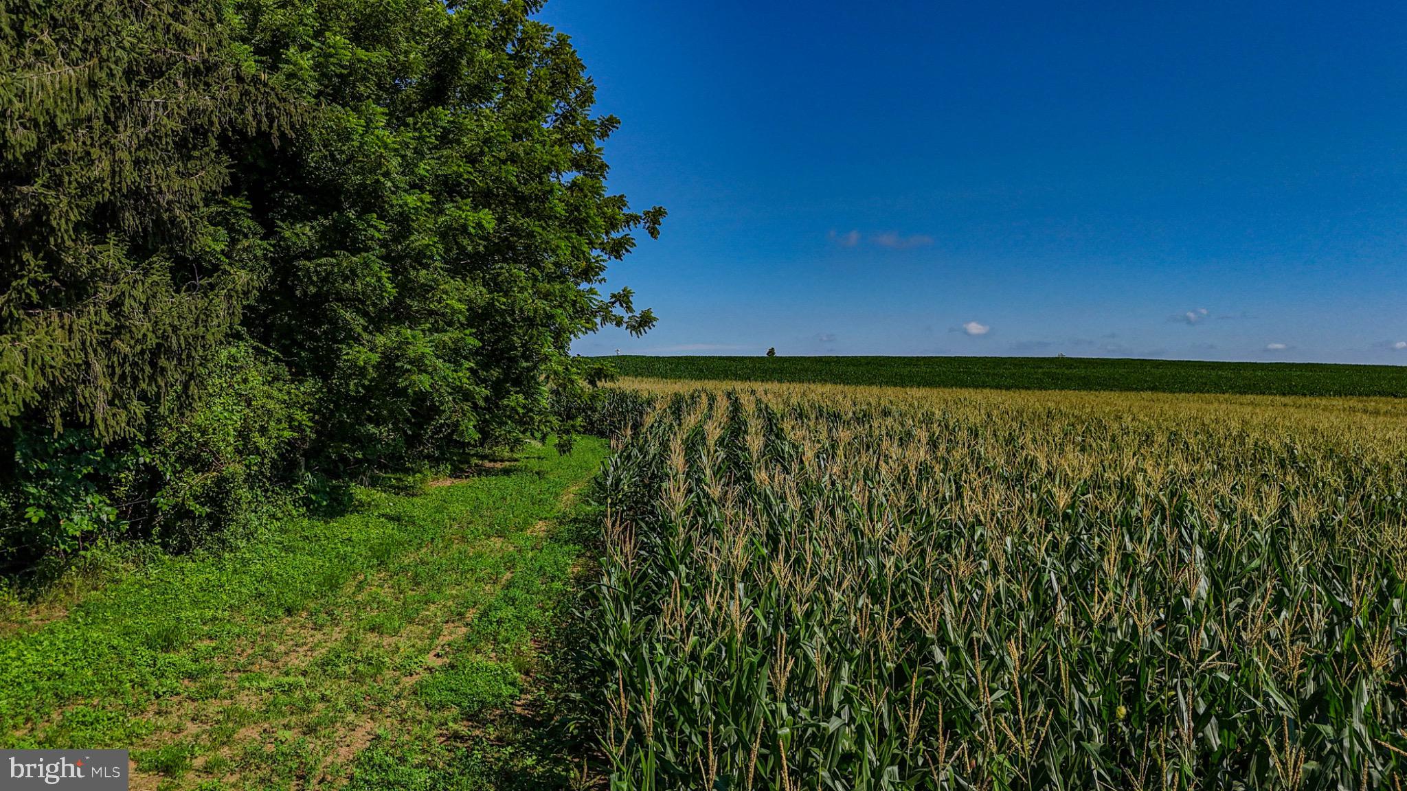 225 Pusey Mill Road Cochranville, PA 19330 - Photo 19 of 21 a view of an outdoor space with a lake view